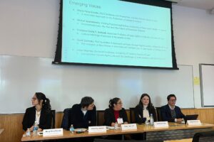 Emerging Voices ILW Panel – Call for Proposals