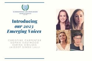 Introducing Our 2023 Emerging Voices Panelists