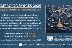 Emerging Voices 2025 Panel – Call for Submissions