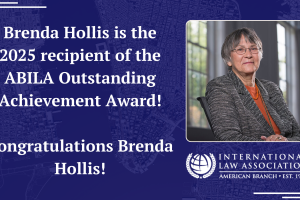 2025 ABILA Award Winners